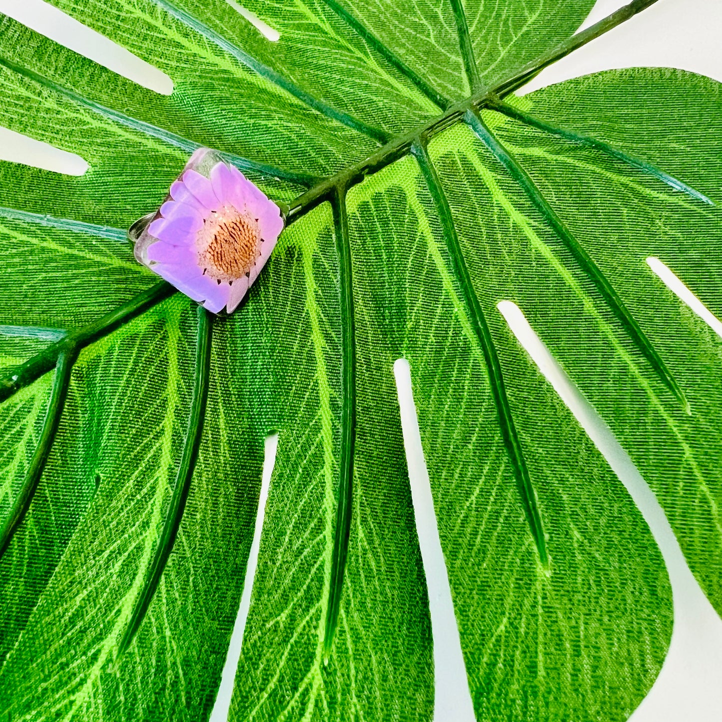 Purple shine
